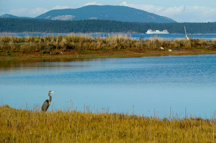 (G. Ackley/contributed photo)