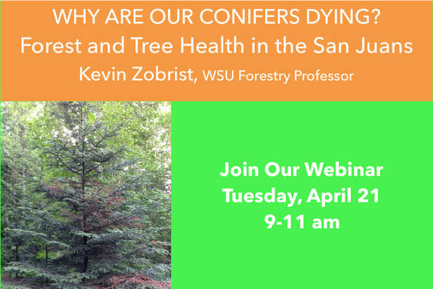 Free webinar about tree health, April 21