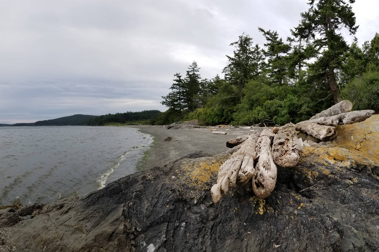 Fourth of July Beach on San Juan Island. (Adam W. Ritchey/contributed photo)