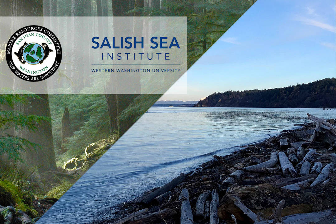 house-made graphic from Salish Sea Institute assets