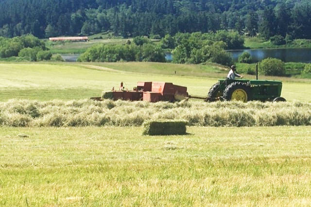 Zylstra Lake Preserve lessee Adam Greene and his team completed their harvest for the season and have been hard at work making early season hay and haylage. The remainder of uncut fields will be mulch-cut in late summer and fall to return organics to the soil, and to prepare for the harvest rotation next season. (Contributed photo)