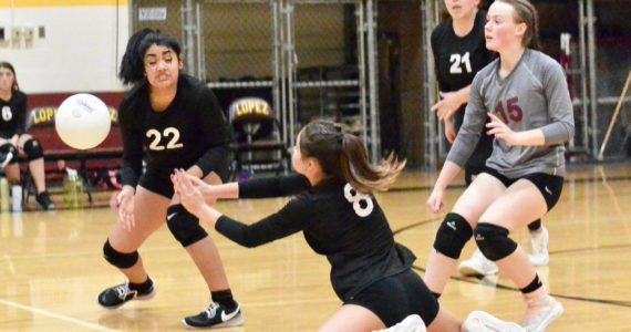 Gene Helfman/Contributed photo
Seniors Valentina Rendon (22), Jamie Armstrong (8), and Lolo Meissner (15) converge on a ball that found a gap while Amelia Patino (21) watches. Lopez swept Shoreline Christian 3-0 in the Sept. 30th match.