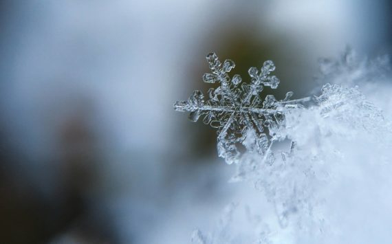 Photo by Aaron Burden on Unsplash