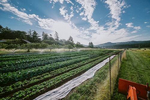 Contributed photo
Joon Farm