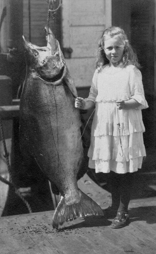 Contributed photo by the San Juan Island Historical Museum. 
Grace (Dolly) Washburn c. 1917. The King salmon weighed 108 pounds, Grace weighed 65 lbs, she was 11 years old. The fish was caught in one of the fish traps off South Beach, San Juan Island.