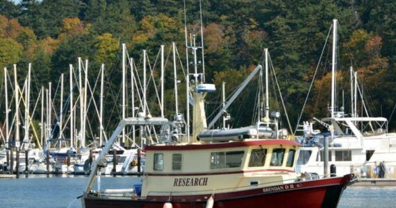 Contributed photo
All summer long the research vessel, Brendan D II, will assist with research and mapping eelgrass across San Juan County. You may see them moving methodically across the water at local shorelines.
