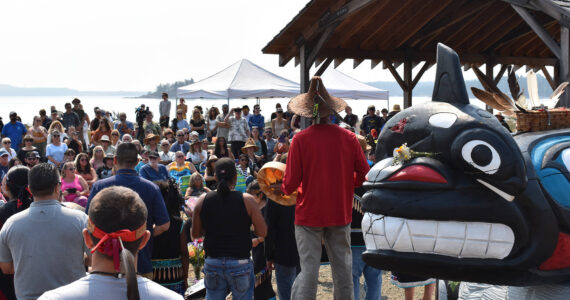 Kelley Balcomb-Bartok staff photo
Hundreds gathered Sunday at Jackson Beach Park to celebrate the life of Tokitae, aka Sk’aliCh’elh-tenaut, the last Orca whale taken from the Salish Sea and placed into captivity back in the 1970s. The event was originally going to be an installation ceremony to recognize a new Totem Story Pole, but it became so much more following the recent death of the famous whale.