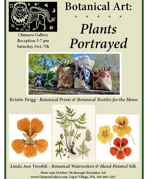 “Plants Portrayed” opens at Chimera Gallery