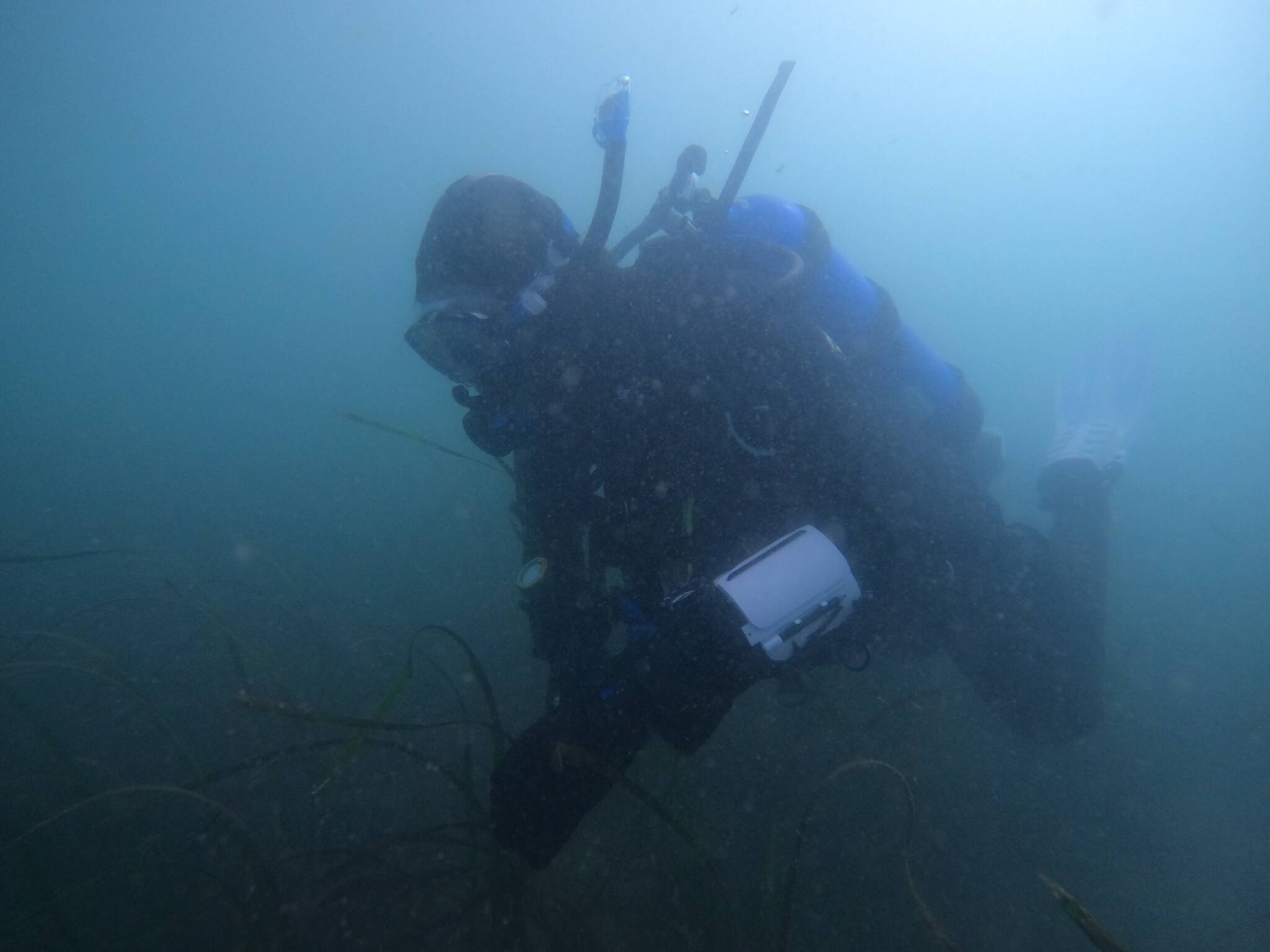 Contributed photo
Charlie Donahue during a training dive.