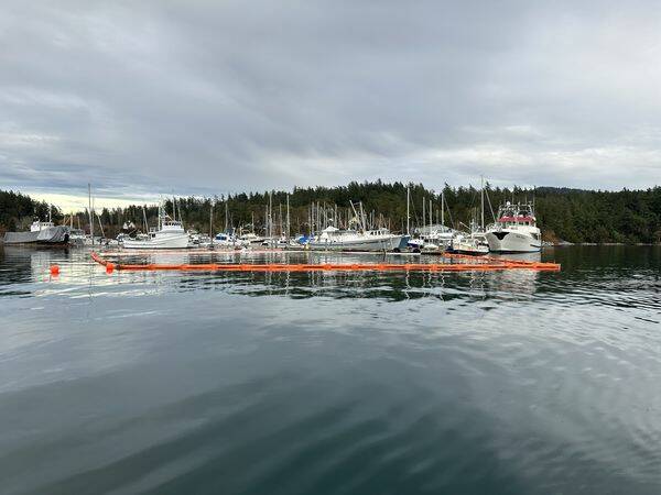 Vessel sinks in Westsound