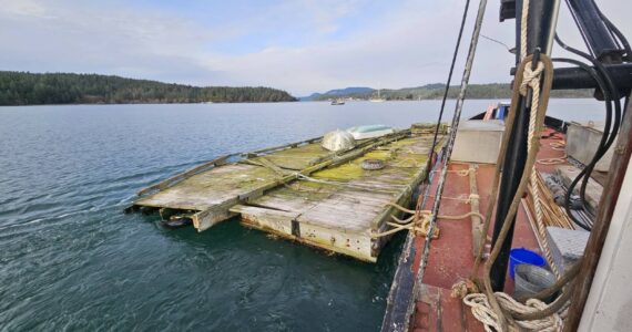 Crane and barge remove derelict floats from Blind Bay on Shaw Island