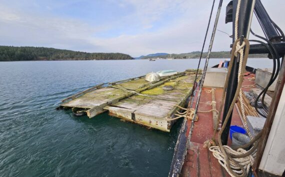 Crane and barge remove derelict floats from Blind Bay on Shaw Island