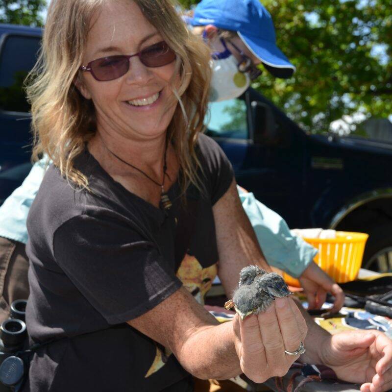 Contributed photo
Kathleen Foley Lewis with a bluebird chick.