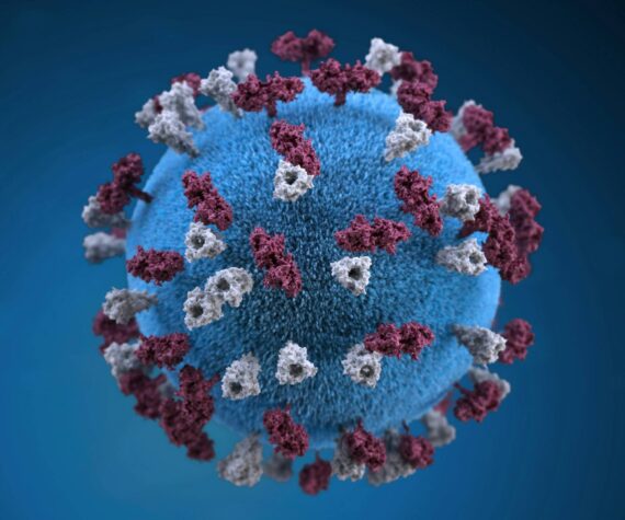 Public health hot topic: Measles outbreaks