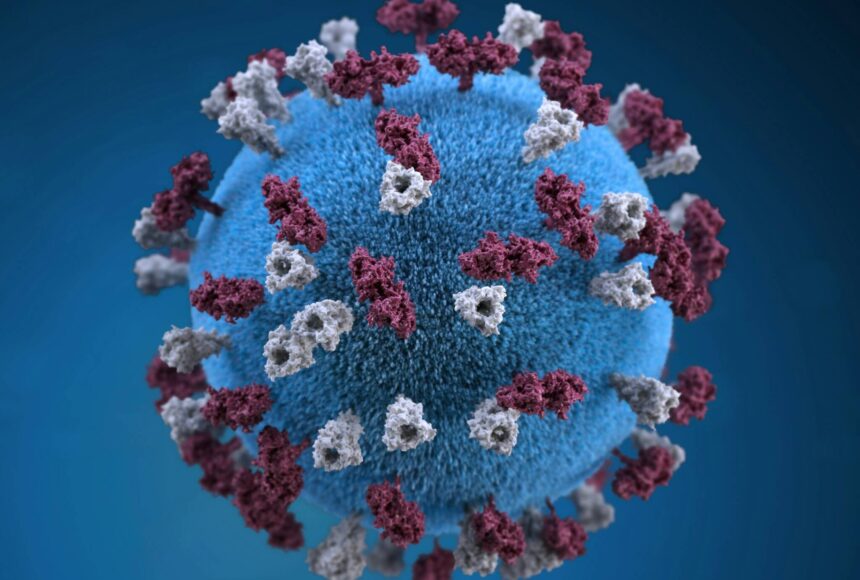 Public health hot topic: Measles outbreaks