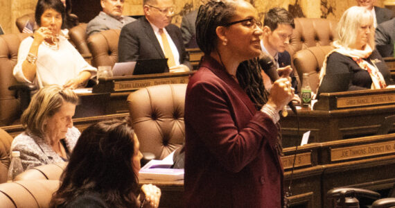 Mary Feusner photo.
Rep. April Burg debates the operating budget on the House floor, March 31.