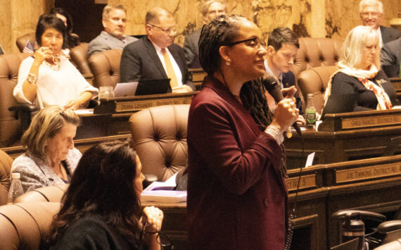 Mary Feusner photo.
Rep. April Burg debates the operating budget on the House floor, March 31.