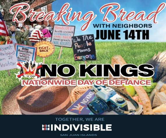 No Kings Day event on June 14