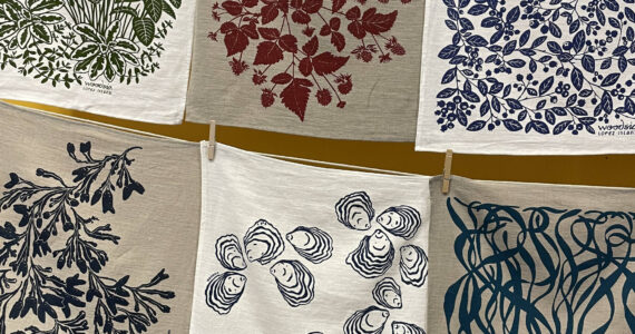 Woodsia Workshop Textiles by Kristin Twigg.