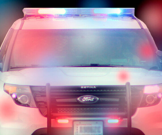 Superior Court crime briefs