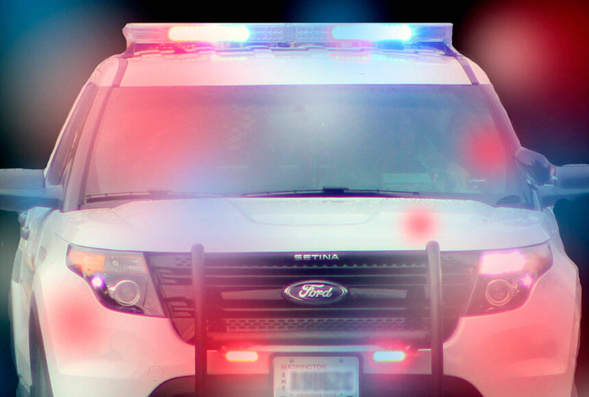 Superior Court crime briefs