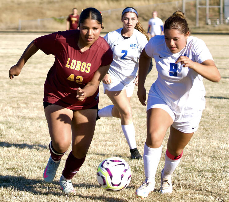 Gene Helfman photo.
Evelyn Aguilar-Clavel (42) challenges a La Conner player during a home game in October.