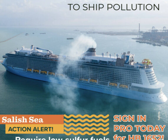 Sign in PRO on House Bill to show support for efforts to protect Southern Resident killer whales