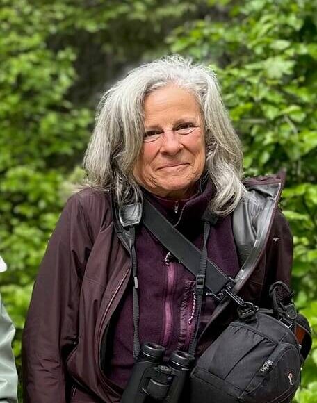 After a ‘green’ retrofit, 38-foot vessel Murrelet will relaunch as platform for Salish Sea research