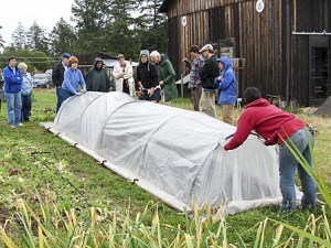 Susan Corning of Synergy Farm