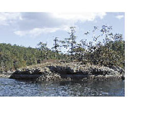 Oak Island is located in West Sound off Orcas Island.