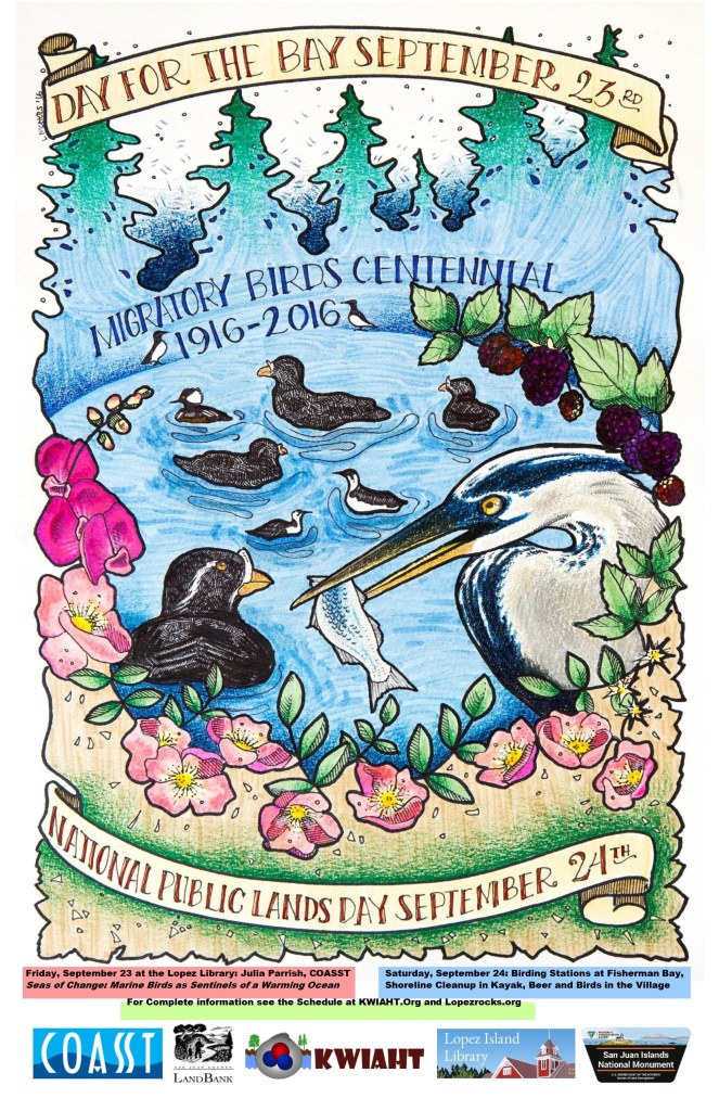 Celebrate Lopez Island birds