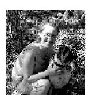 It’s Not Easy Being a Zebra