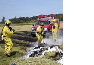 What you didn’t see at the parade