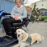 Dogs provide assistance to disabled islanders