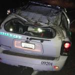 Tree falls on deputy’s car