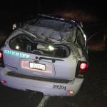 Tree falls on deputy’s car