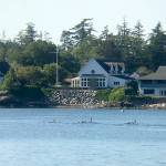 Cameron Fralick Deer Harbor Charters