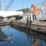 Staff photo/Hayley Day                                Popeye often draws a crowd when swimming at the Port of Friday Harbor.
