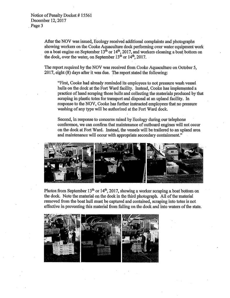 Cooke Aquaculture fined for water quality violations at net pen facility