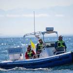 Contributed photo/ Jeanne Hyde, of Spirit of Orca, and The Whale Museums Soundwatch                                Staff from the Soundwatch Boater Education Program are on the water every day during the summer, educating recreational boaters on the least intrusive ways to watch whales in the wild and monitoring all vessel activity near the whales.