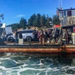 Contributed photo/Mayas Legacy Whale Watching