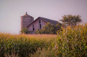 Local help for new San Juan County farmers, as retirees age out