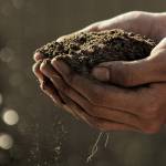 Sixth annual Agricultural Summit this weekedn
