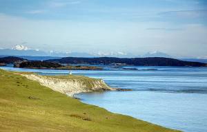 Staff photo/Cali Bagby                                Cattle Point Lighthouse on San Juan Island.
