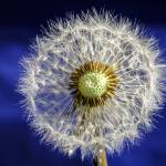 Random nature thoughts | Poetry