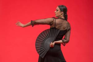 ‘Feria, an evening of Flamenco,’ June 7