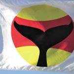 San Juan County promotes local ways to protect Southern resident killer whales