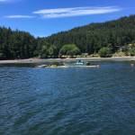 Contributed photo./ Allen Rosenberg. Jerry McElyea helps retrieve oil containment boom after the spill in Judd Cove. Ken Weatherill is driving one of IOSAs response vessels, The Green Heron.