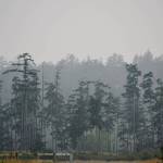Staff photo/Tate Thomson                                A smoky haze covers San Juan Island.
