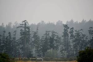 Staff photo/Tate Thomson                                A smoky haze covers San Juan Island.